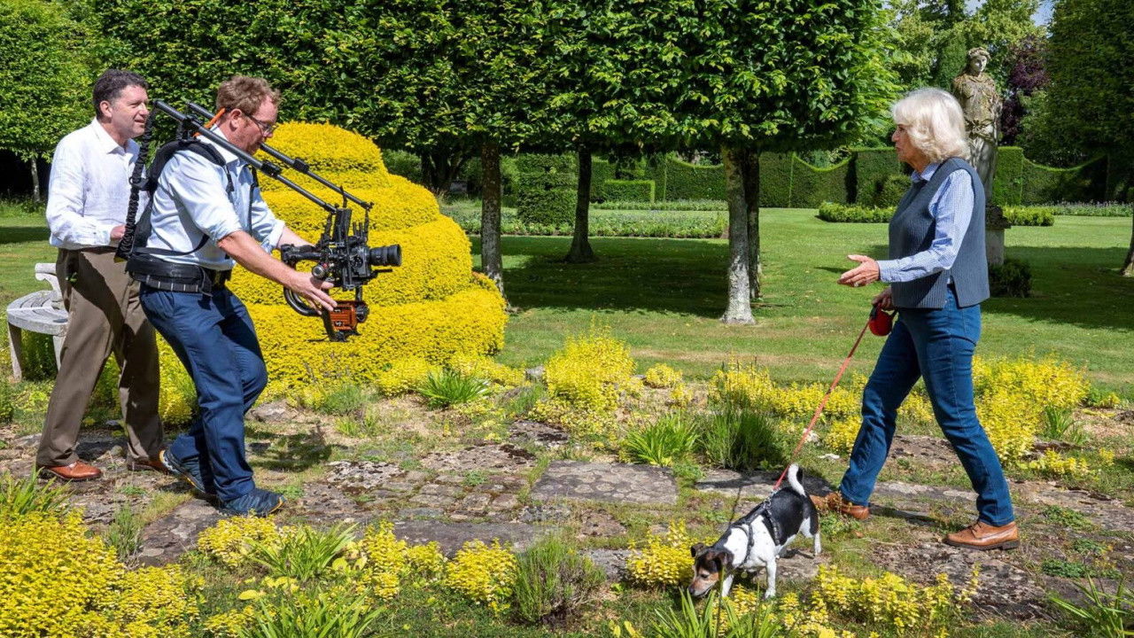 Camilla's Country Life backdrop