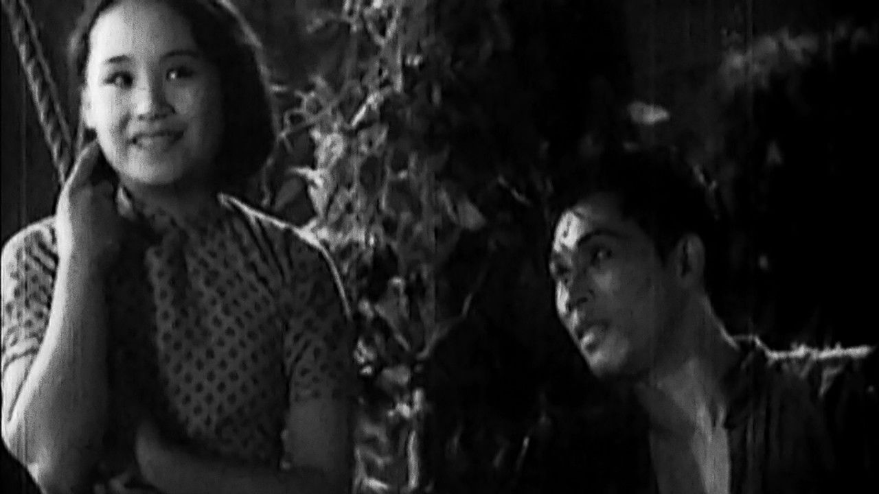 The Big Road backdrop