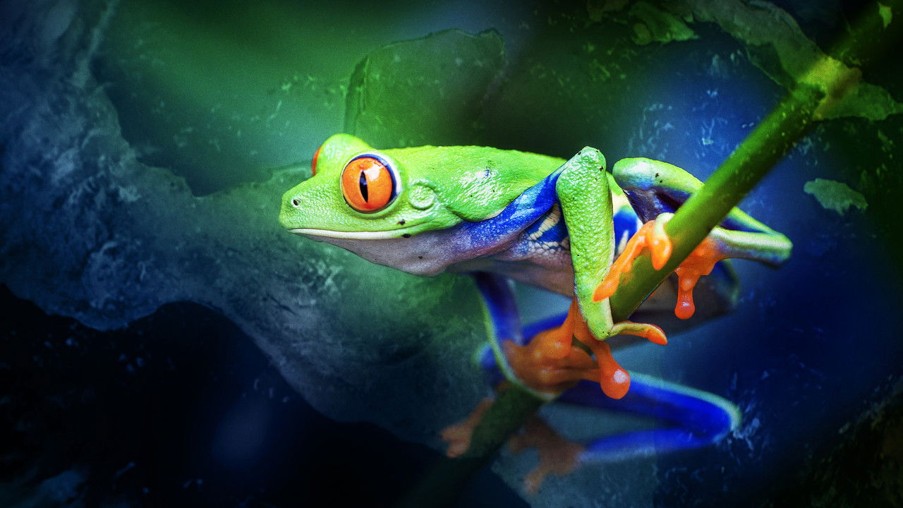 Where Oceans Collide backdrop