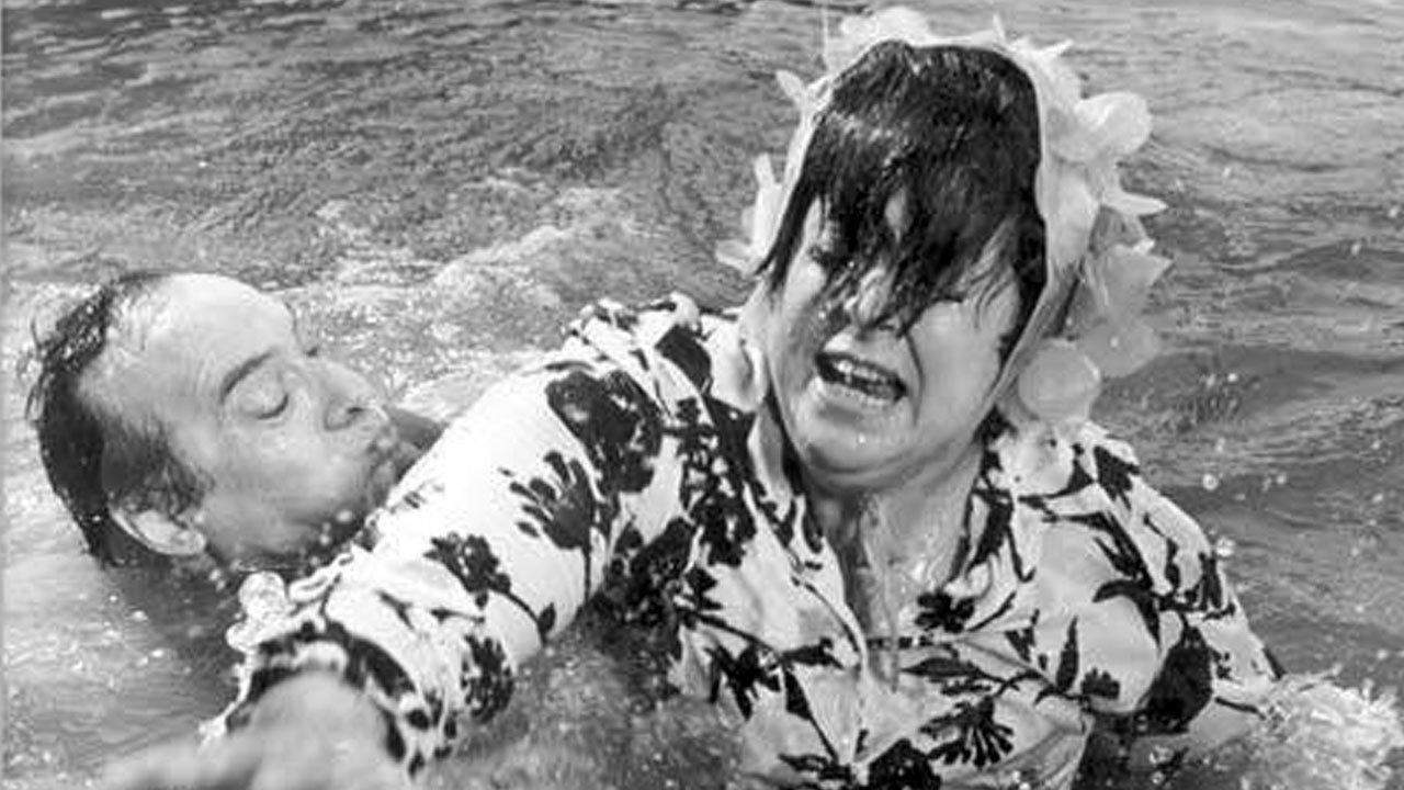 El picnic de los Campanelli backdrop