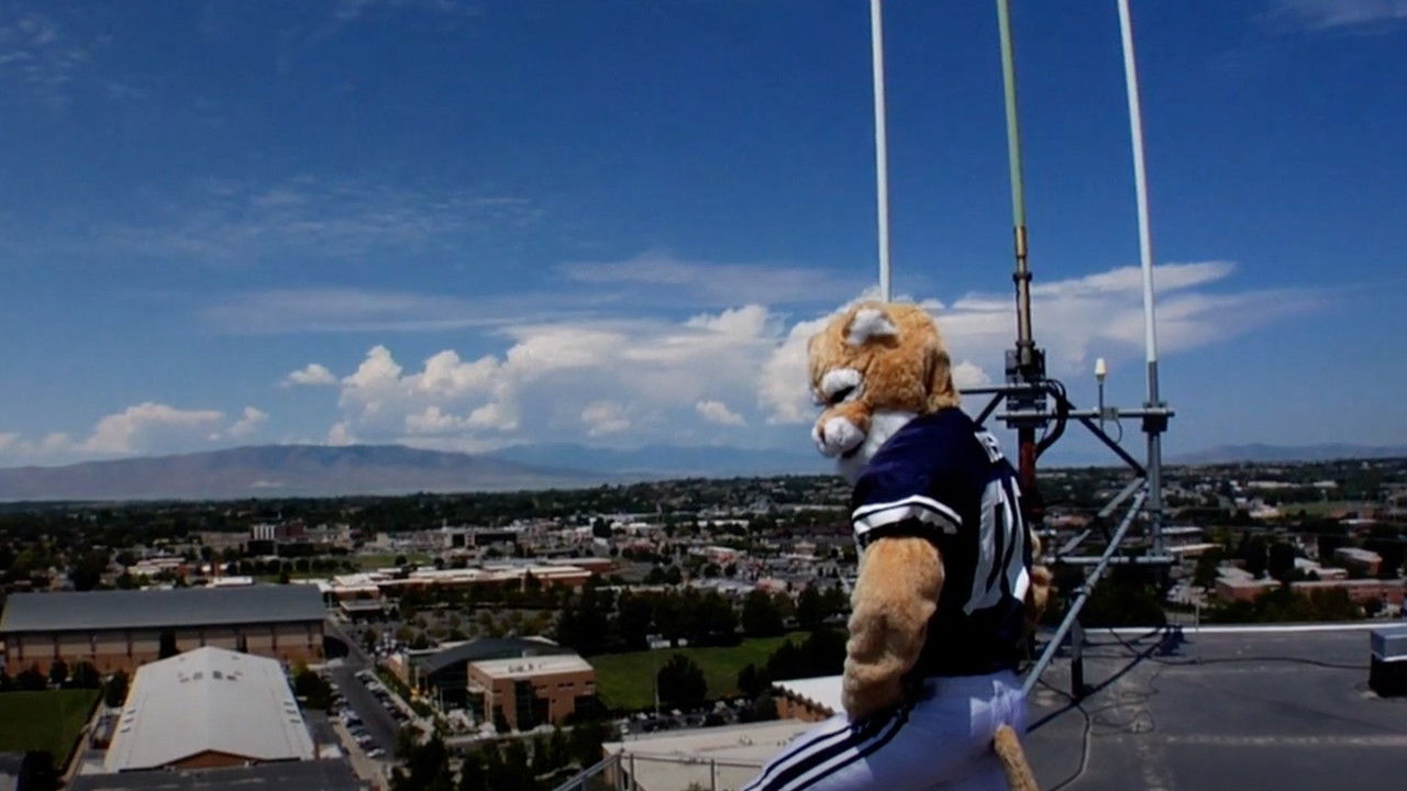 Cosmo: The Quest backdrop