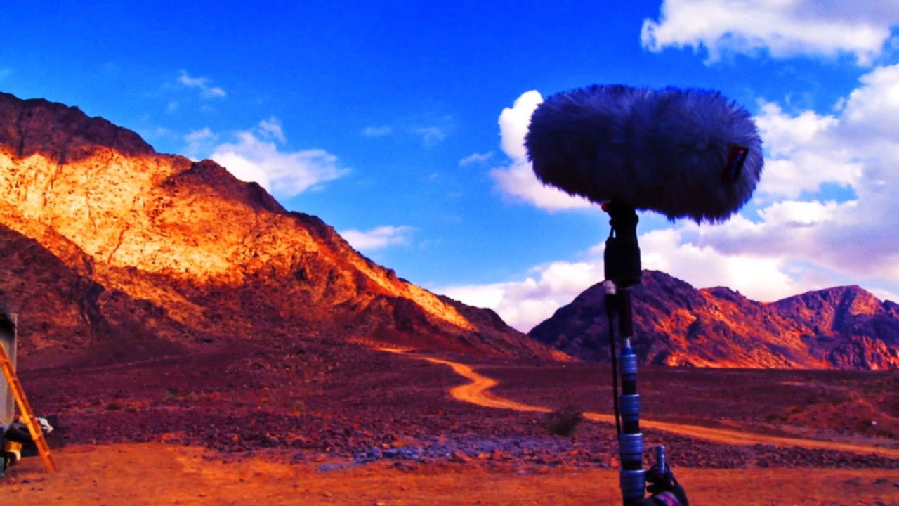 Bring Me the Head of Tim Horton backdrop