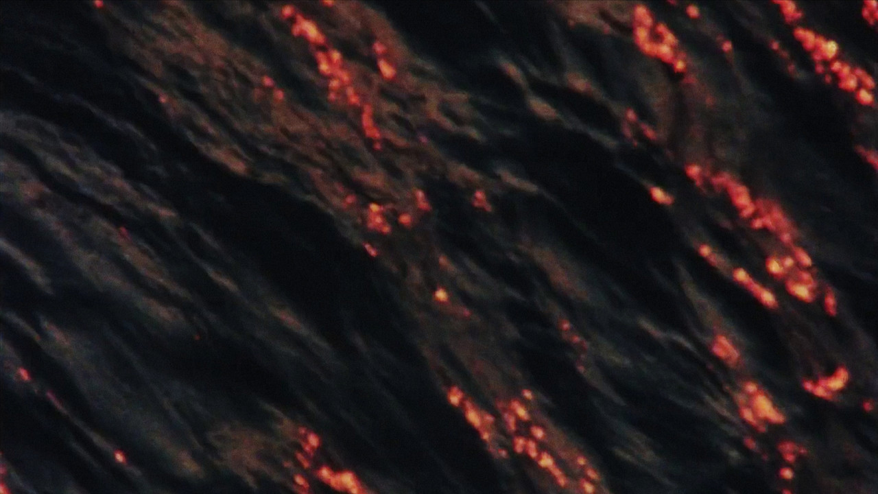 The Water of the Seine backdrop