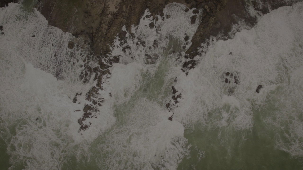 The Waves Saga backdrop