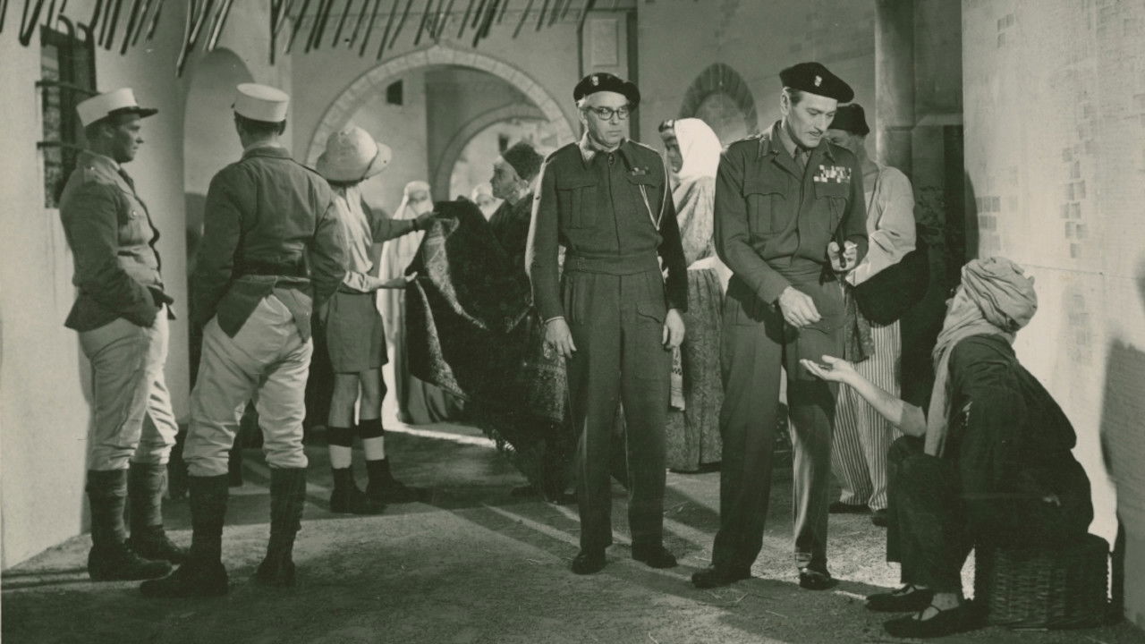 En svensk tiger backdrop