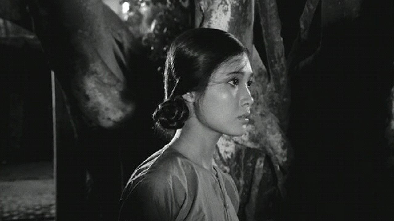 When the Tenth Month Comes backdrop