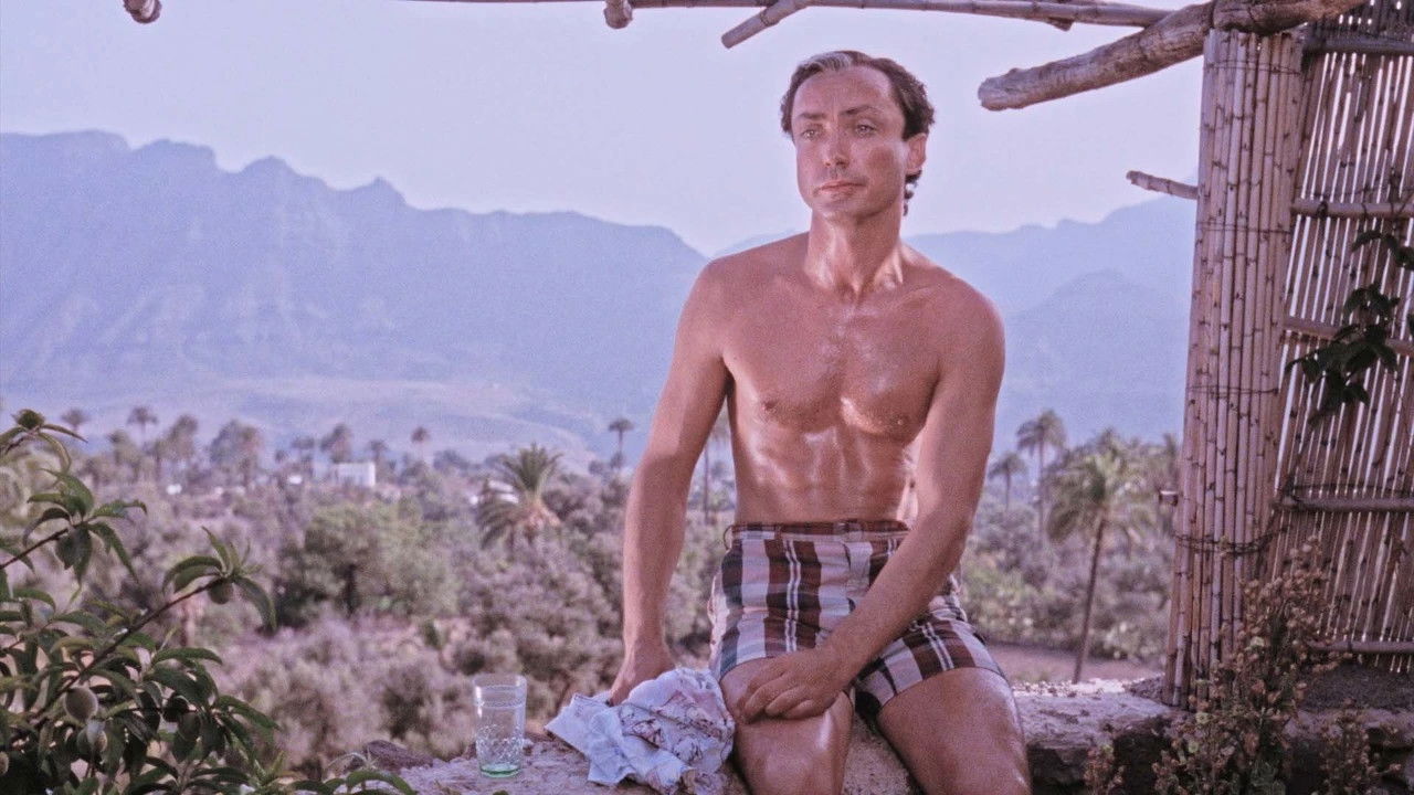 Pankow ’95 backdrop