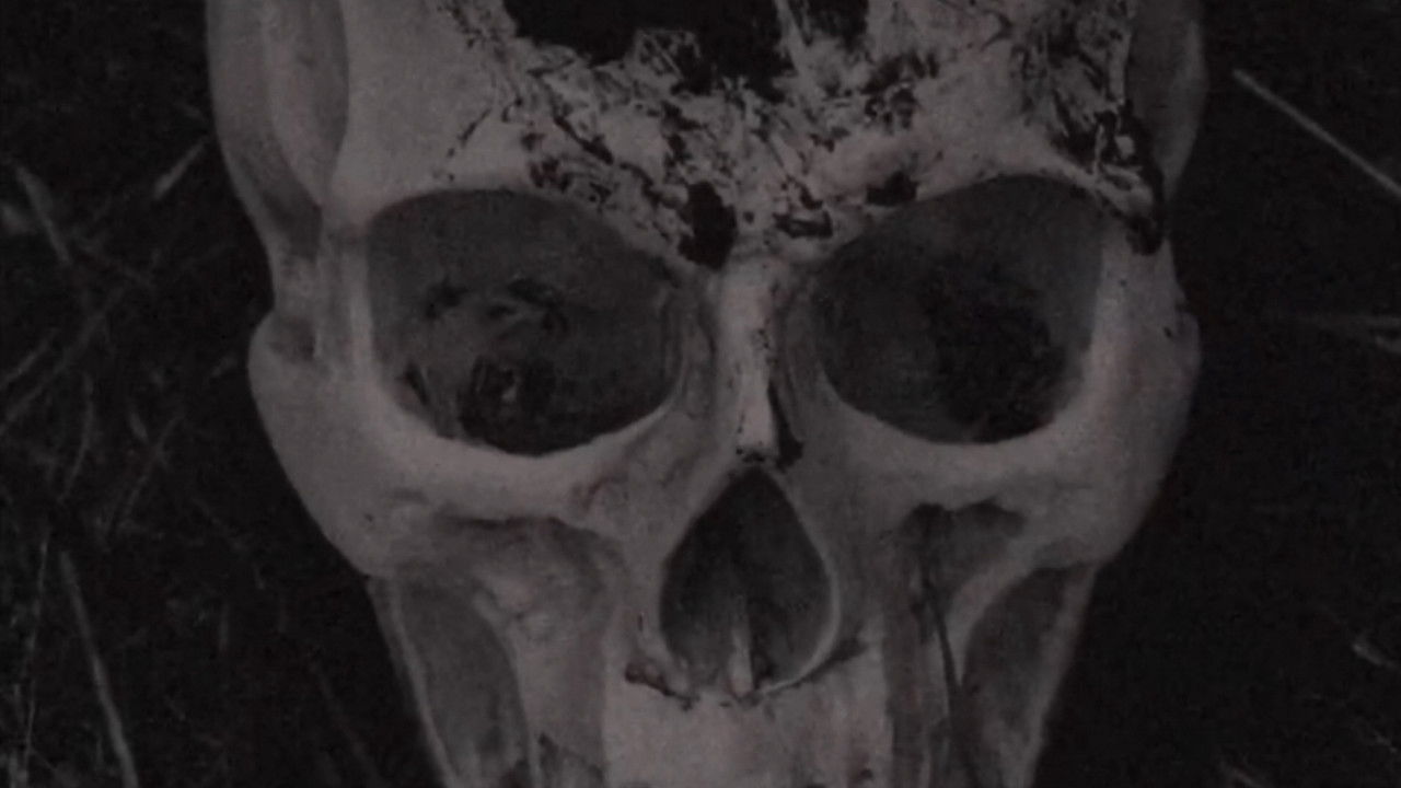 The Volition Of A Bygone Priest backdrop