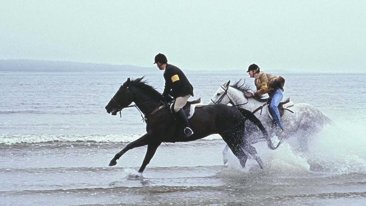 Virginia's Run backdrop