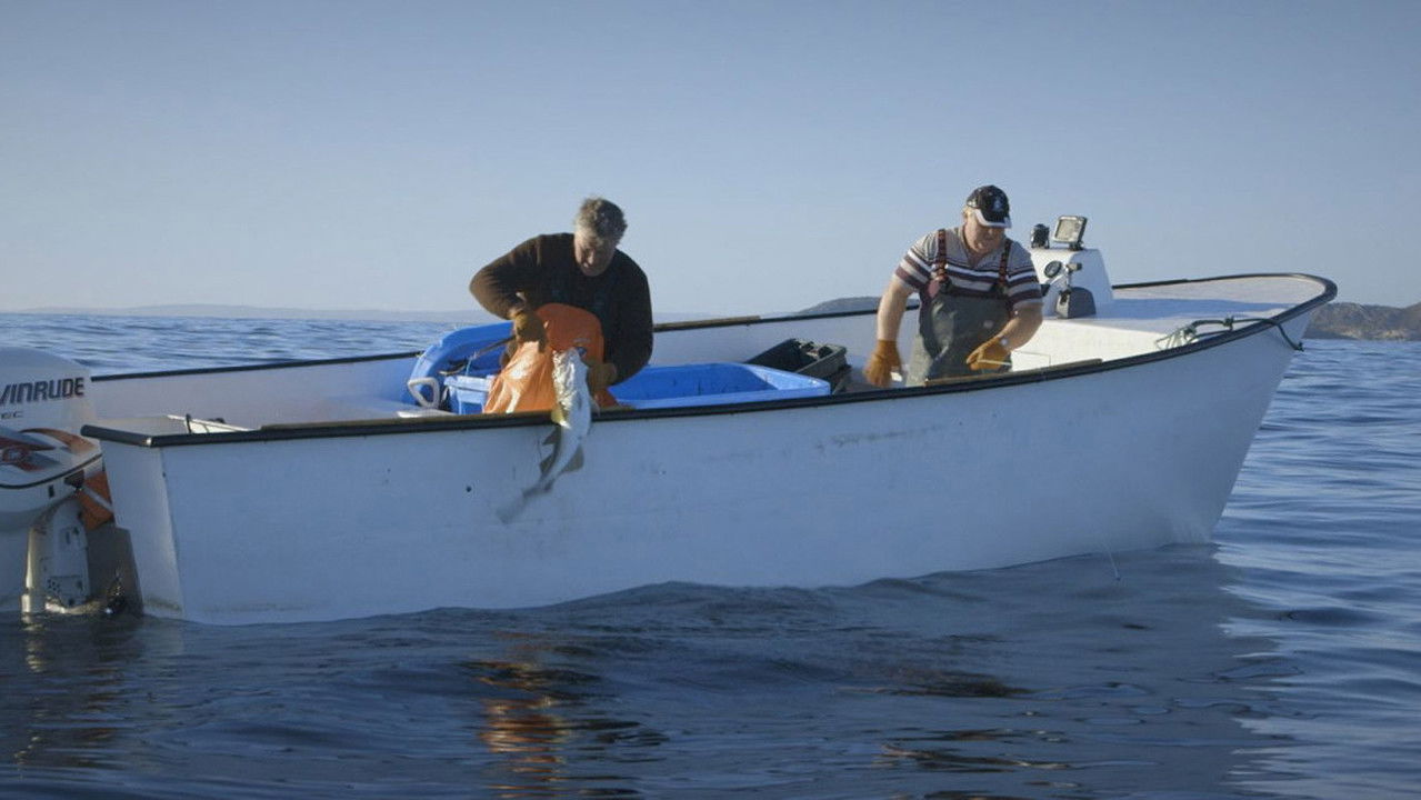 HAND. LINE. COD. backdrop