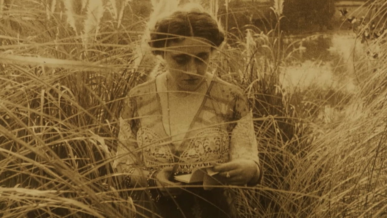 Flower of Evil backdrop