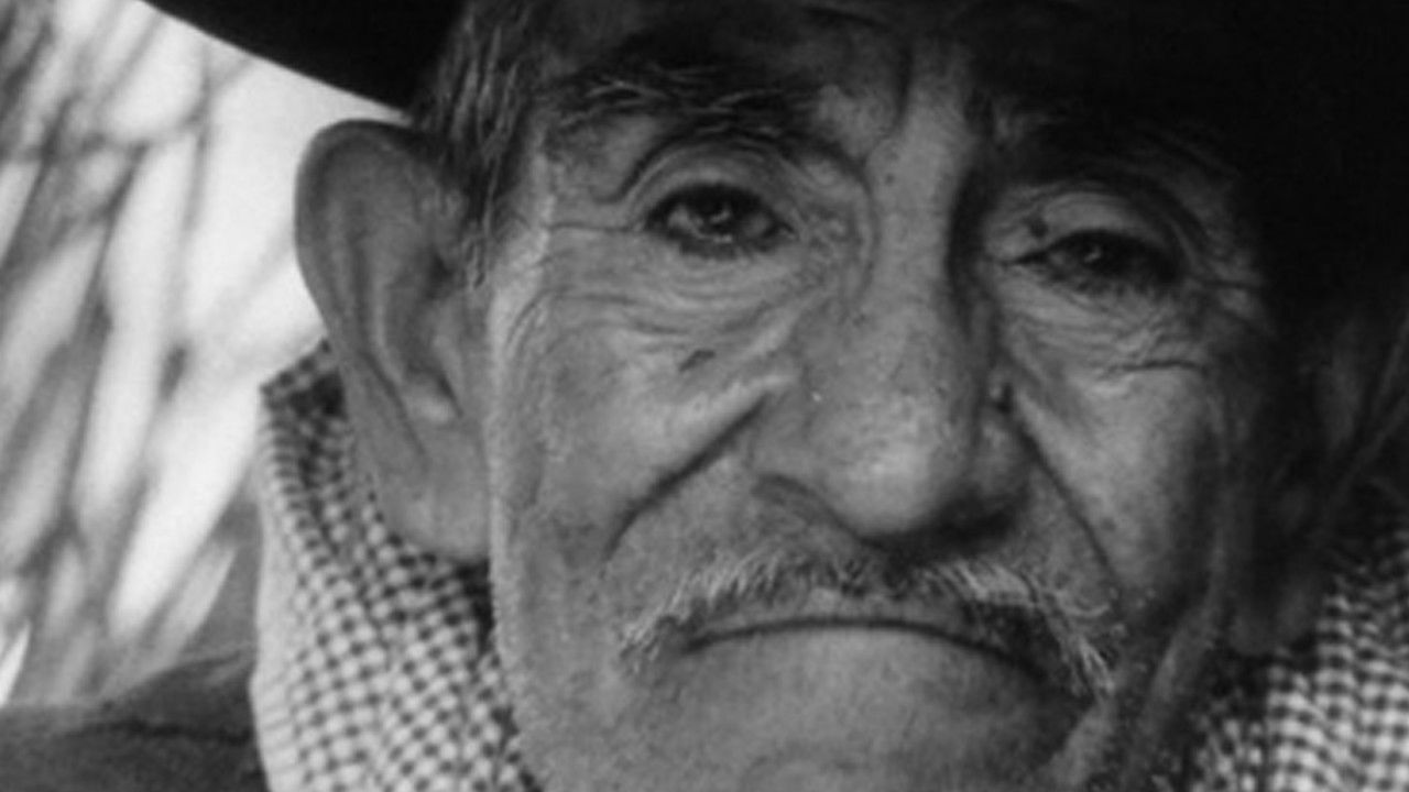 Viejo Reales' Long Journey to Death backdrop