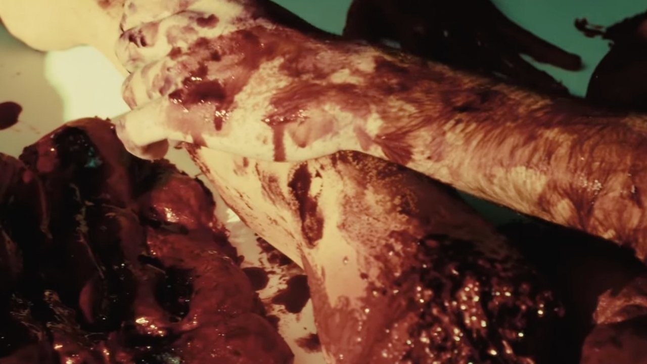 Dating Horror Stories backdrop