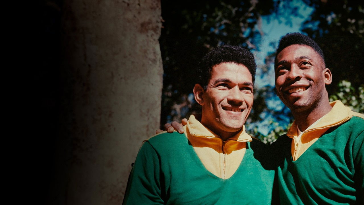 O Negro no Futebol Brasileiro backdrop