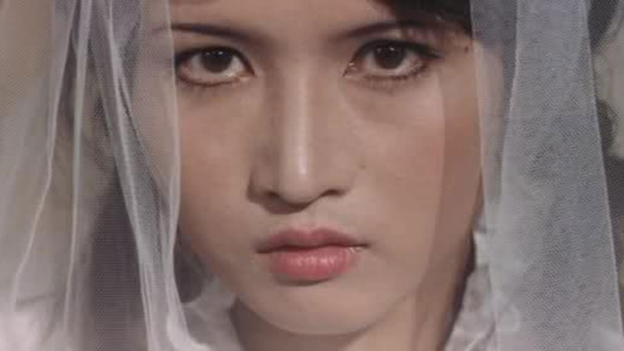 Midnight Fairy backdrop