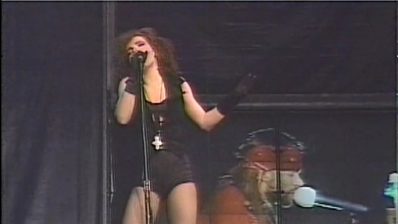 Guns N' Roses - Live in Paris backdrop