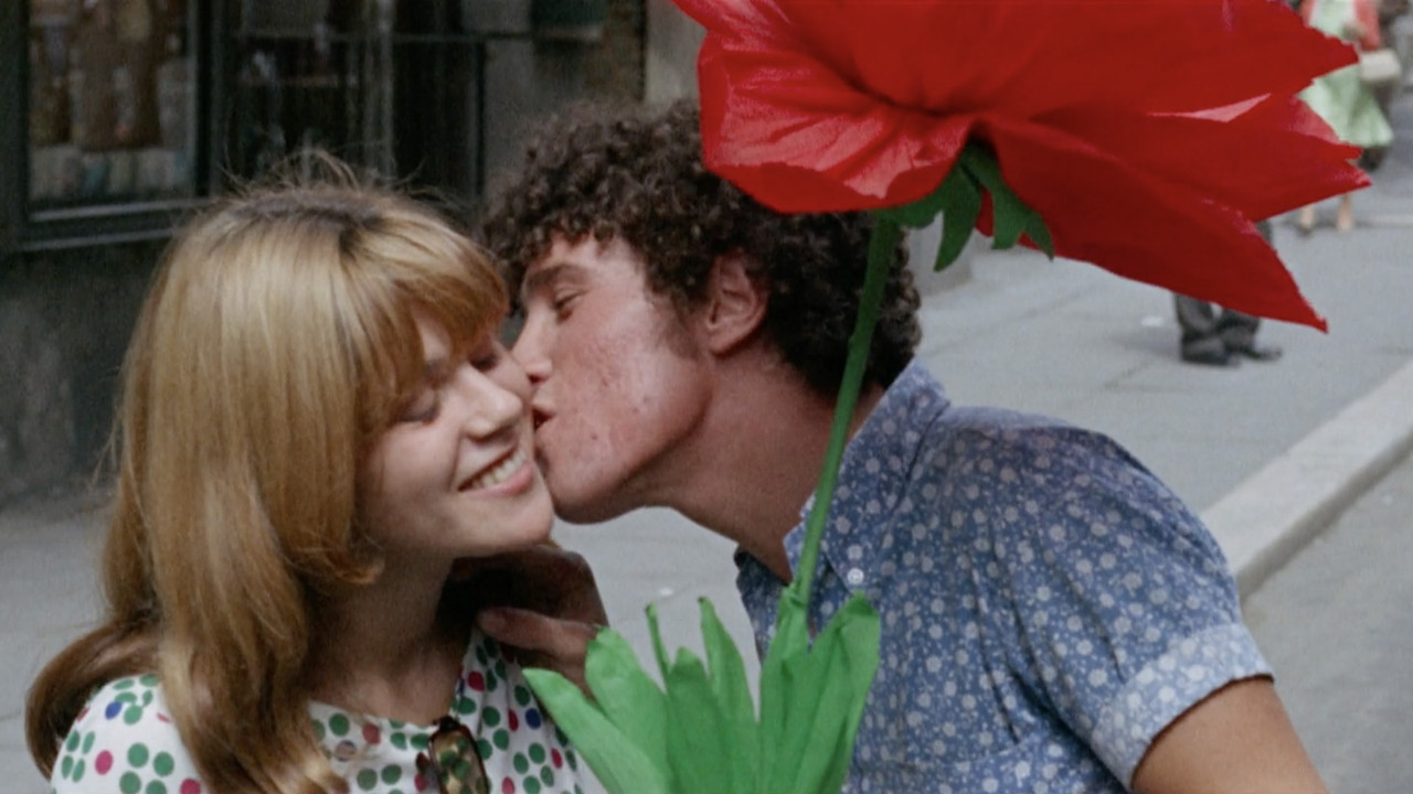 The Sequence of the Paper Flower backdrop