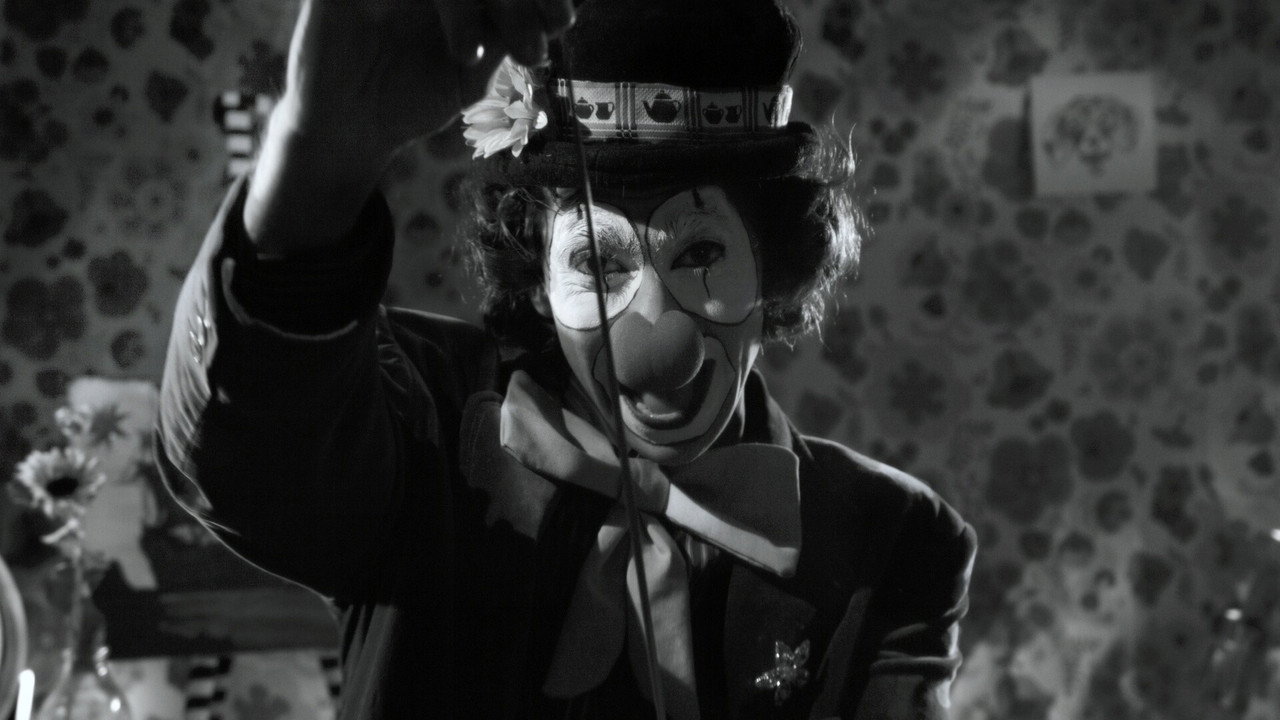 Leo and Knight backdrop