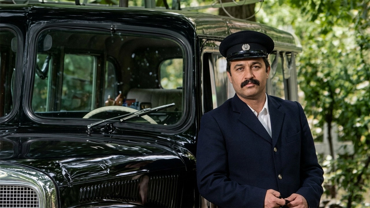 Despite Everything backdrop