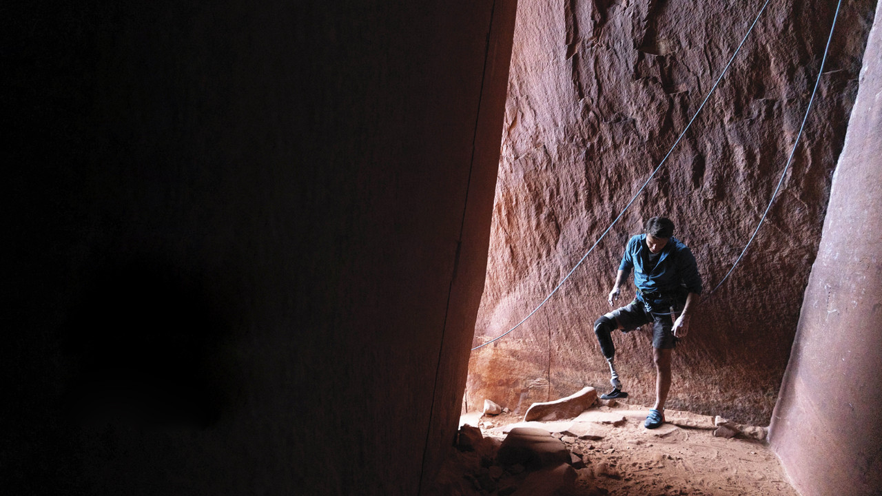 Out on a Limb backdrop
