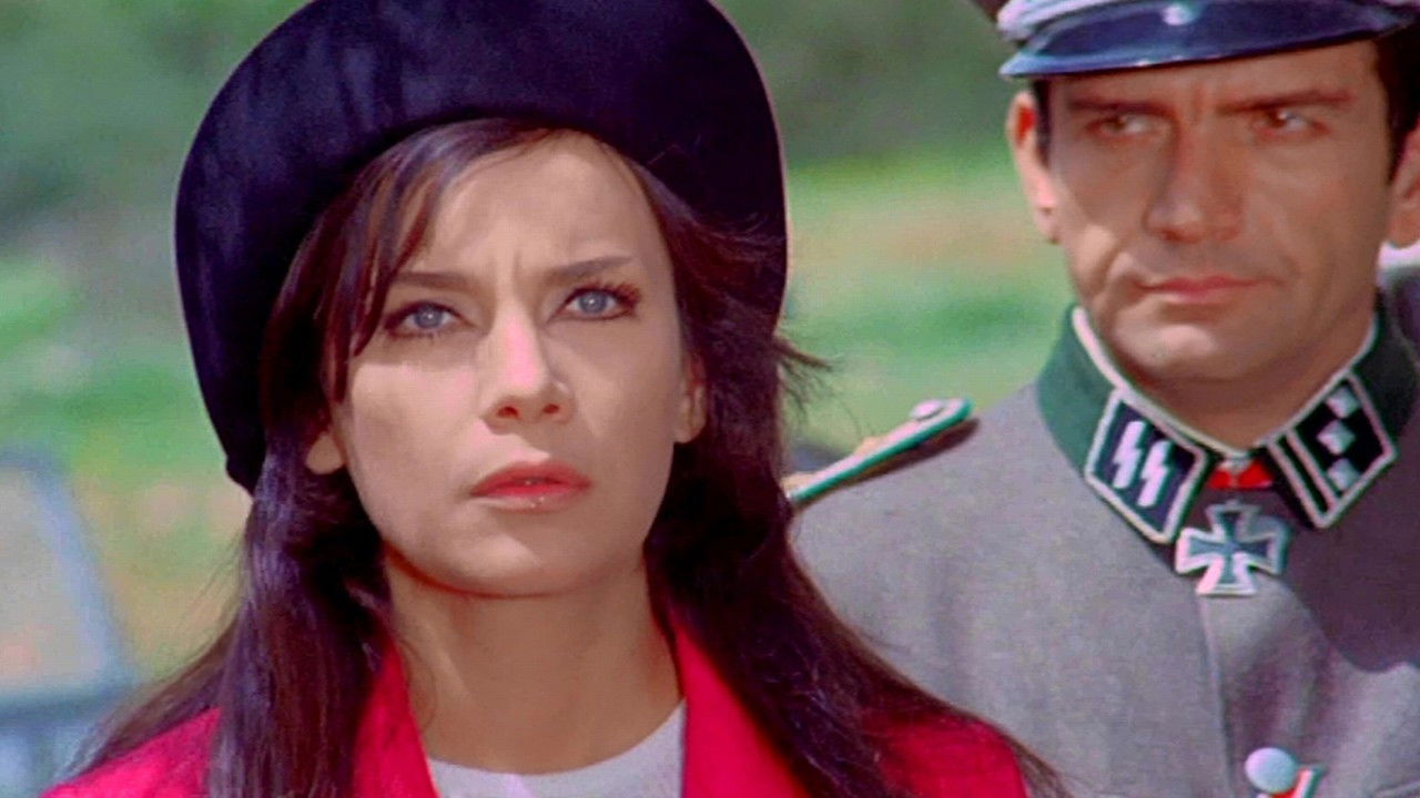 A Woman in the Resistance backdrop