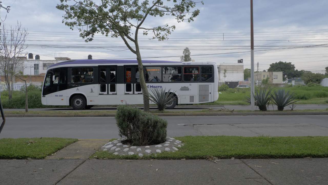 significantes, cinco de cinco backdrop