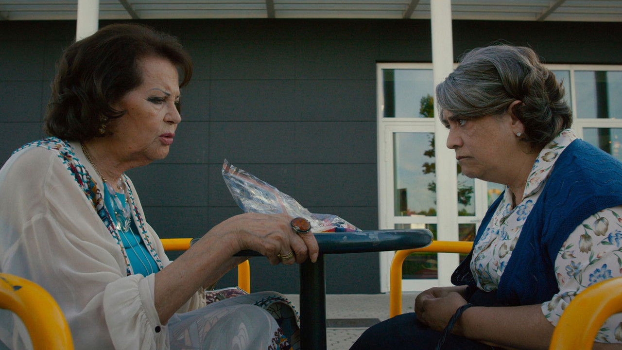 Nonnas on the Run backdrop