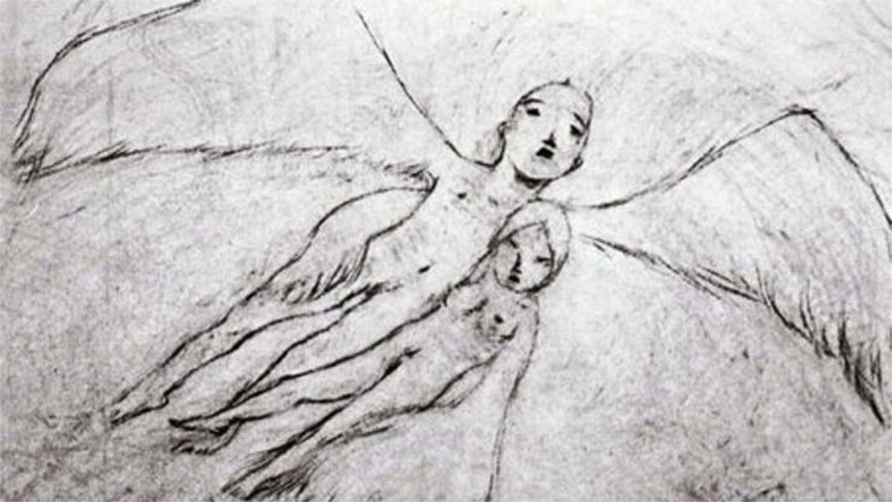 A Feather Stare at the Dark backdrop