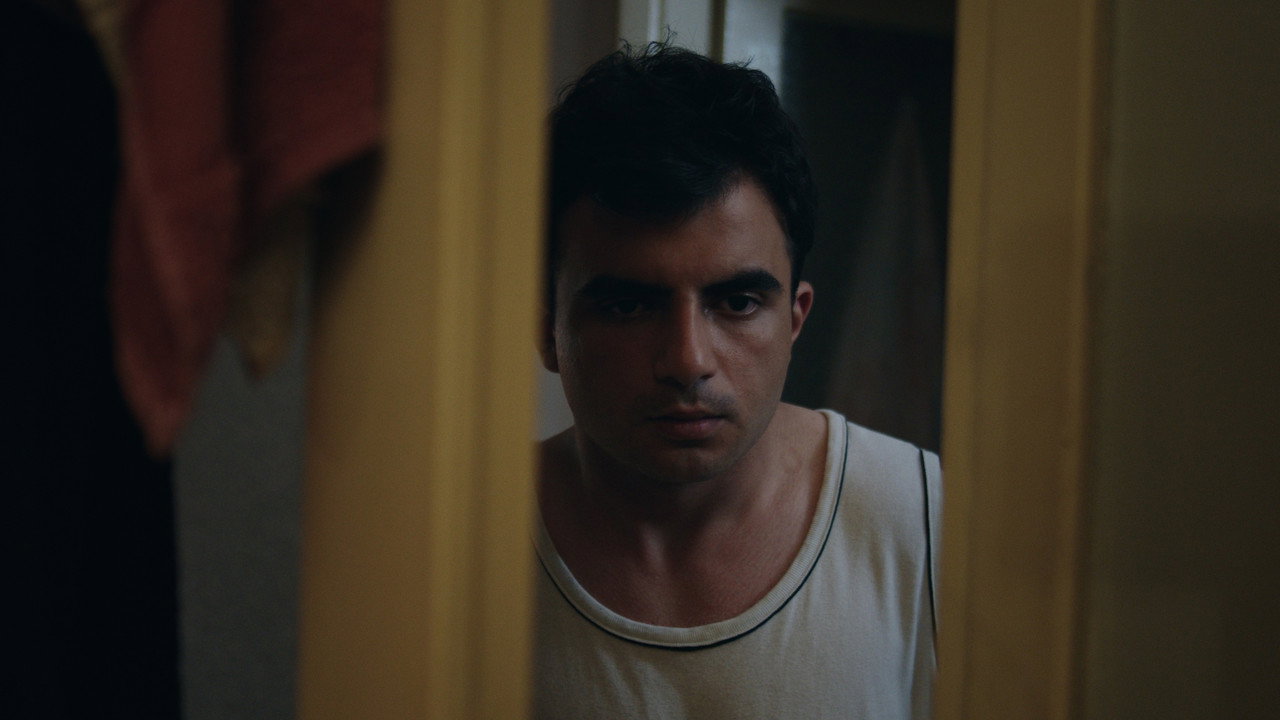 The Supplement backdrop