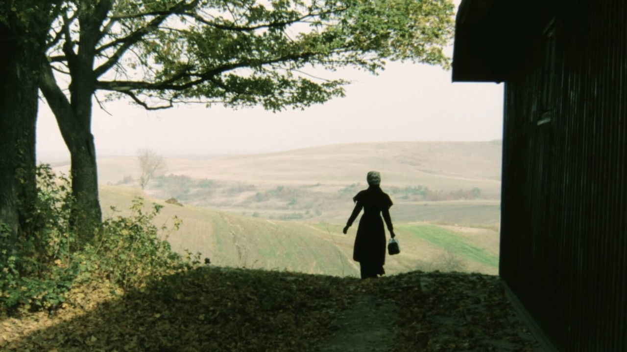 The Birthday Present backdrop