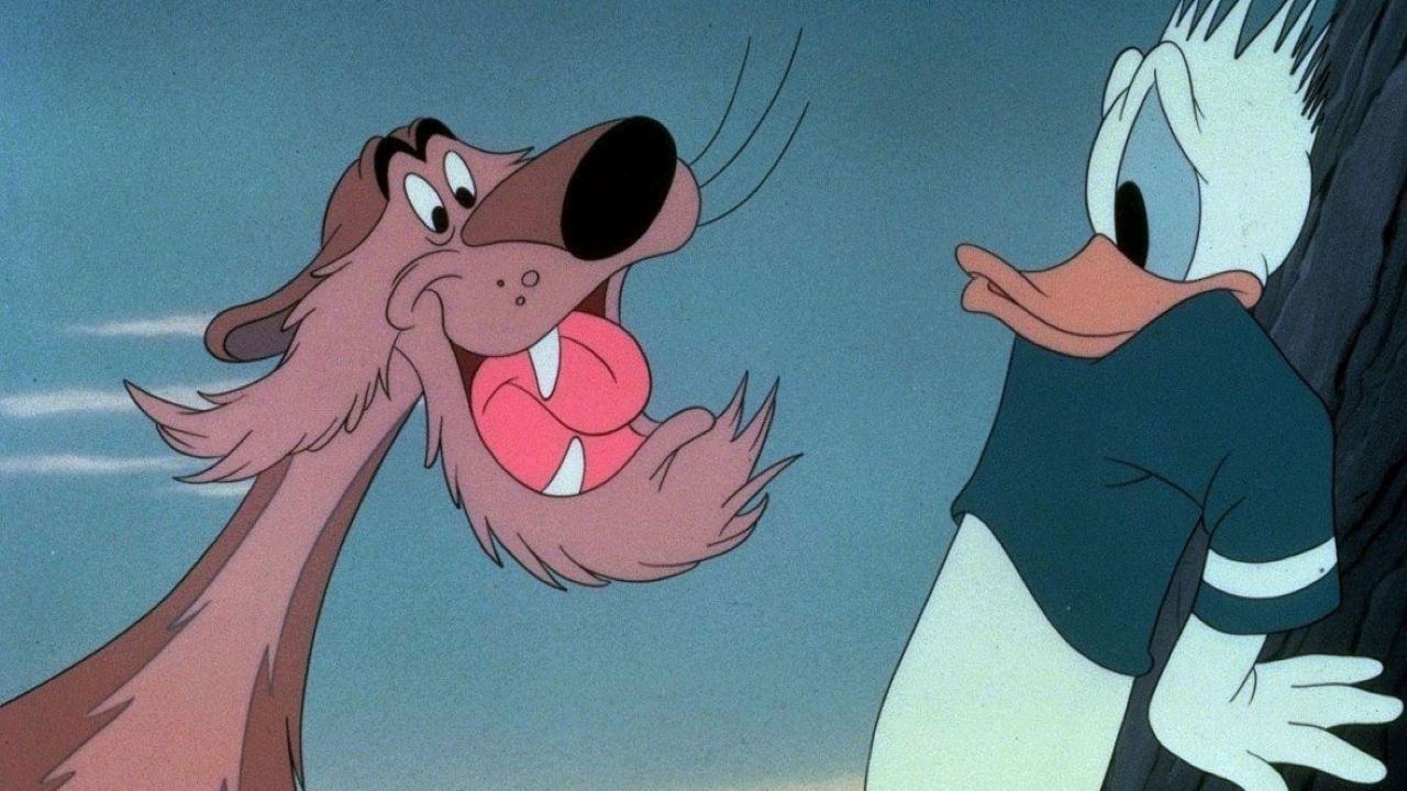 Lion Around backdrop