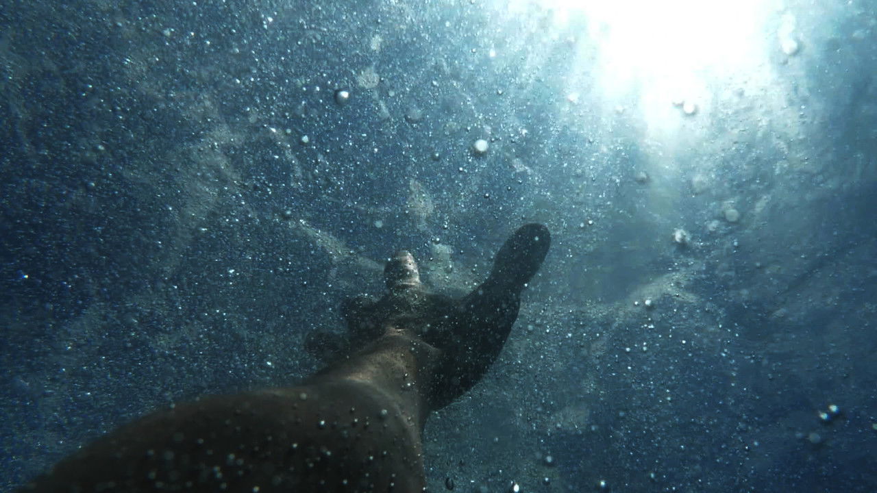 Fatal Watch backdrop