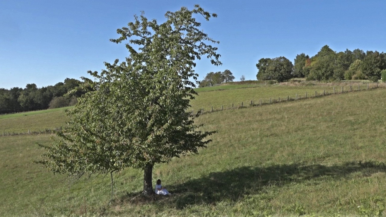 Un Feu Distant backdrop