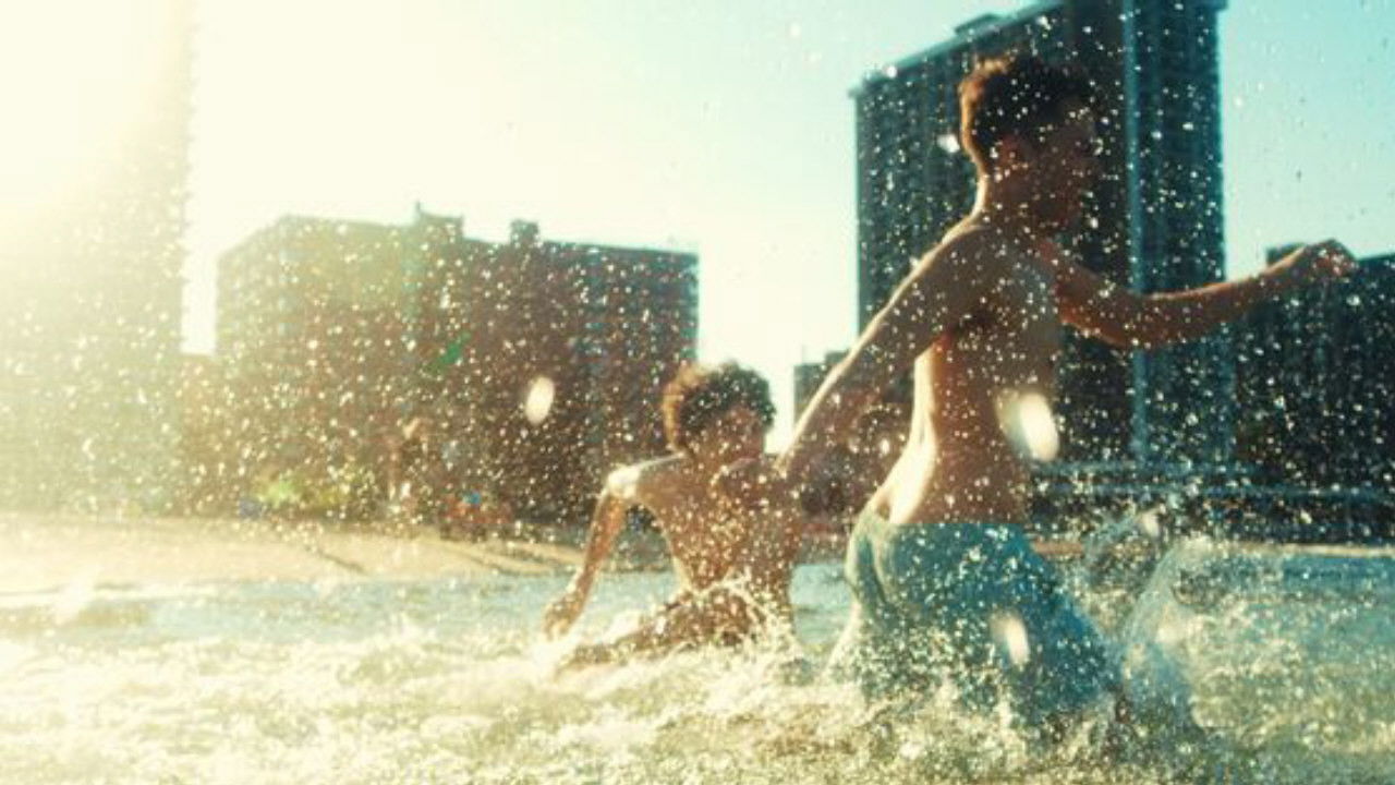 Hummingbirds backdrop