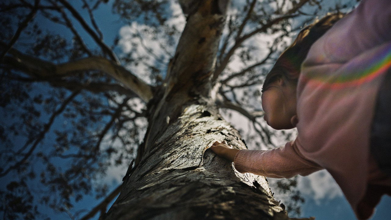 The Skeleton Tree backdrop