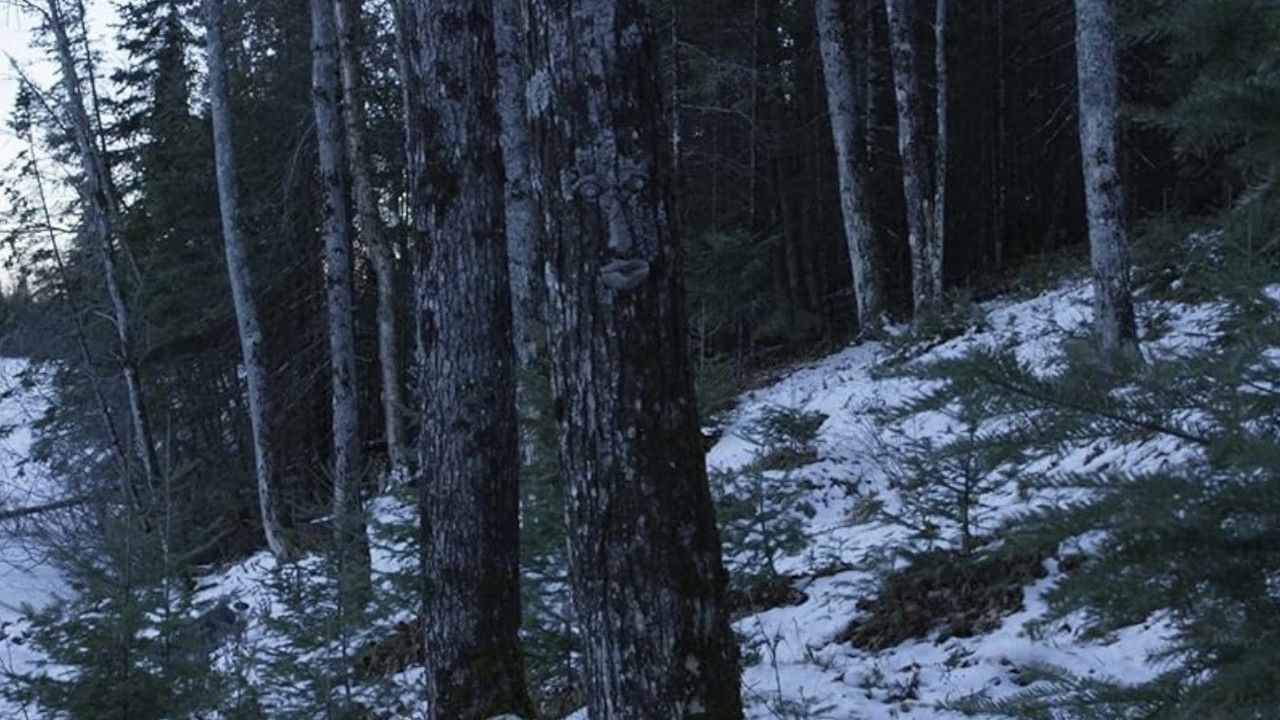 Don't Leave Yet backdrop