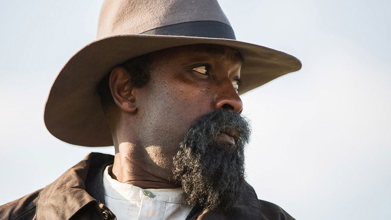 John Ware Reclaimed backdrop