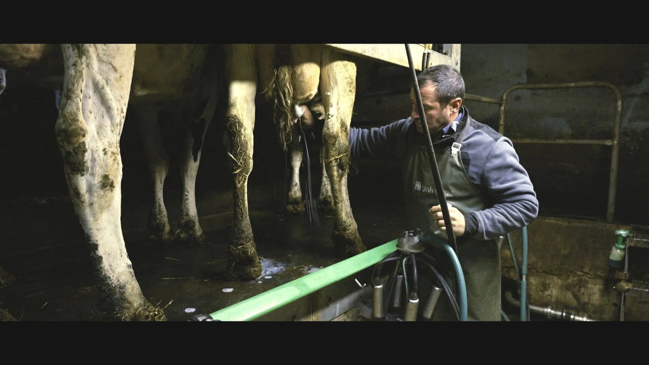 Violence dans les Champs backdrop