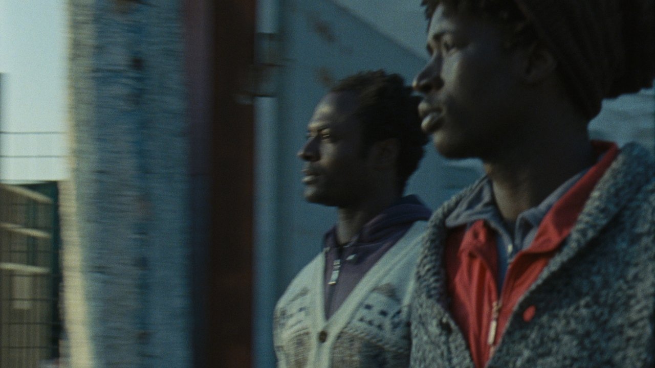 Mediterranea backdrop