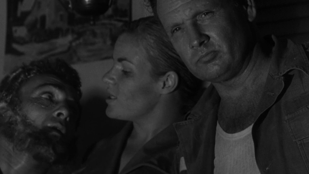 The Nest of the Cuckoo Birds backdrop