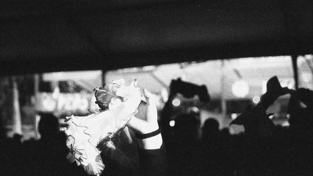 Celebrations at O'Higgins Park backdrop