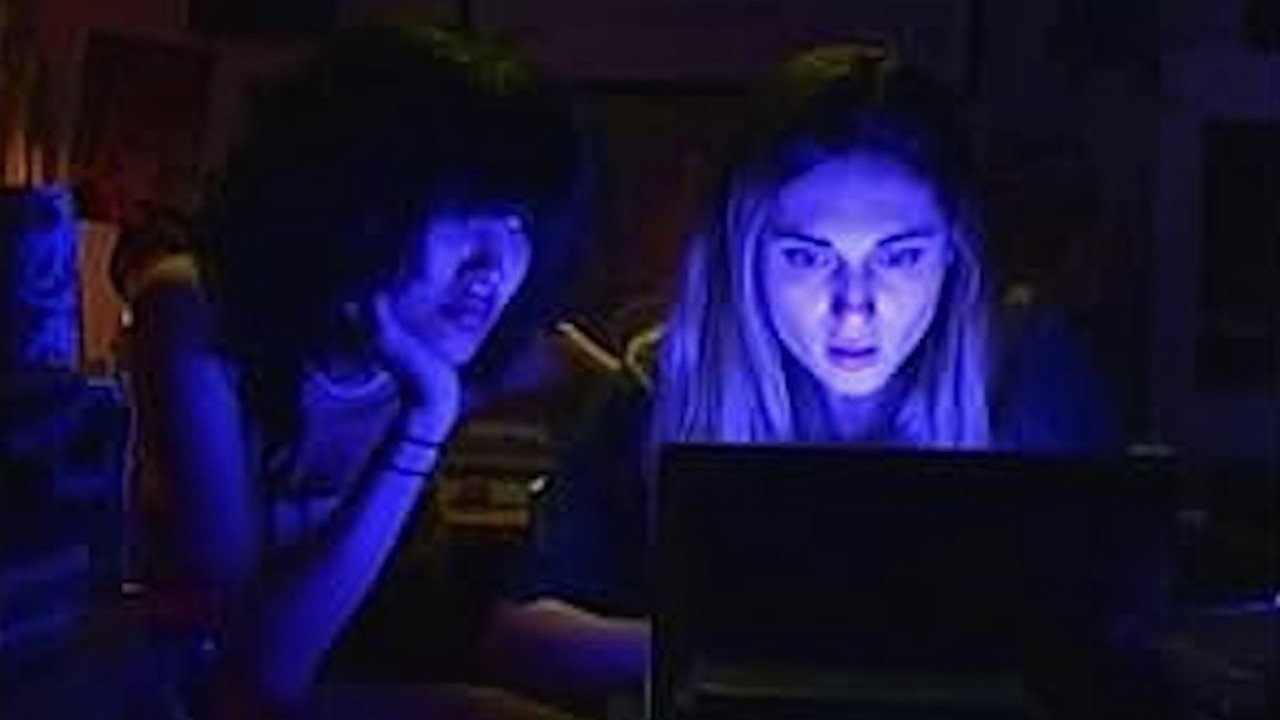 City Wide Fever backdrop