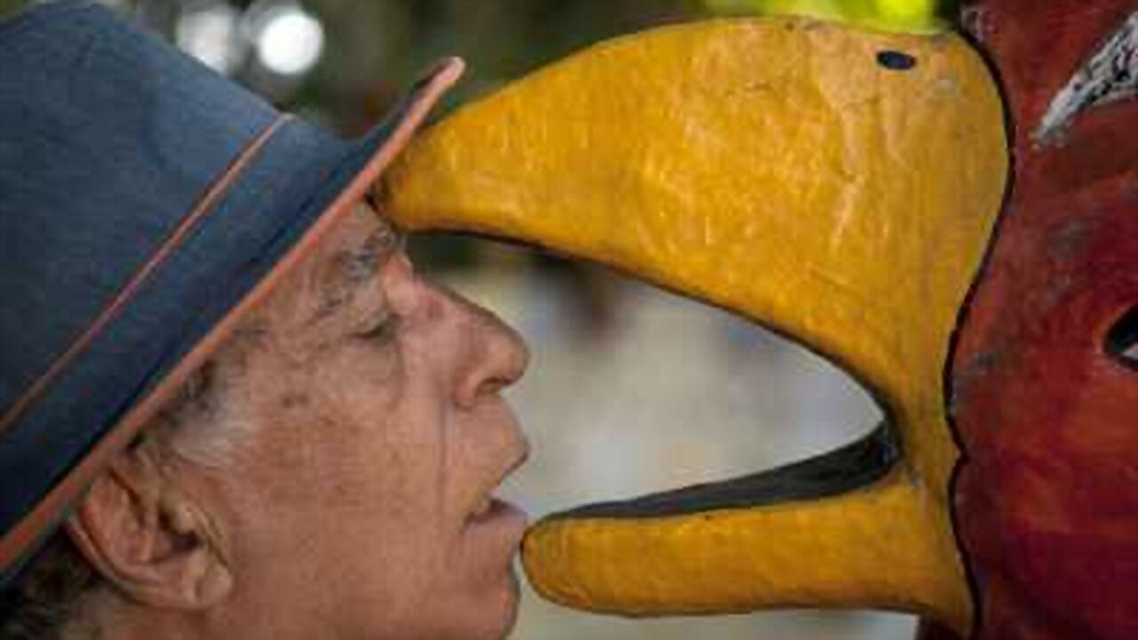 Neville D'Almeida: Chronicler of Beauty and Chaos backdrop