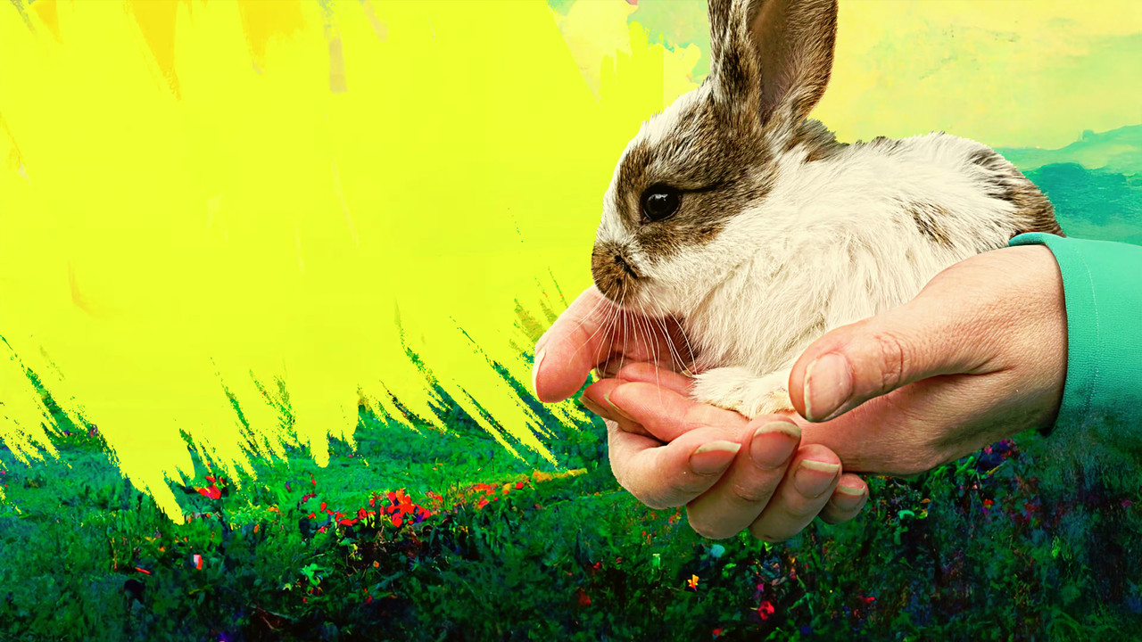 Pet on the Menu backdrop