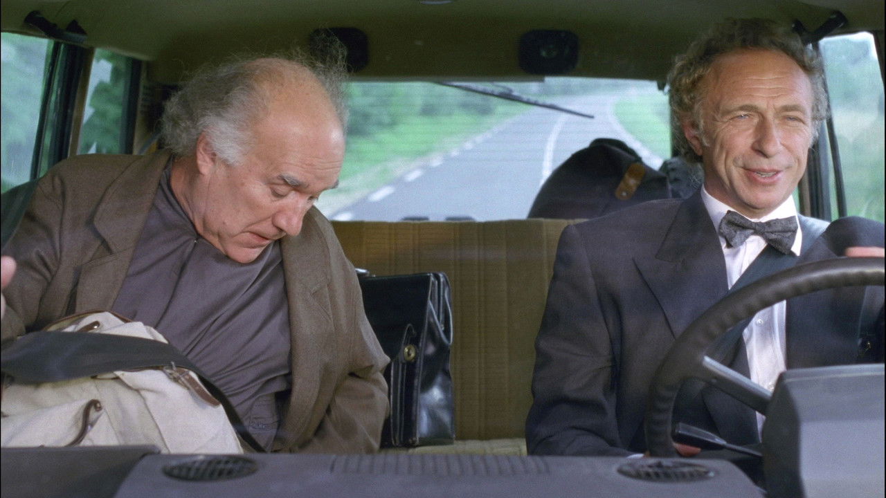 Loonies at Large backdrop