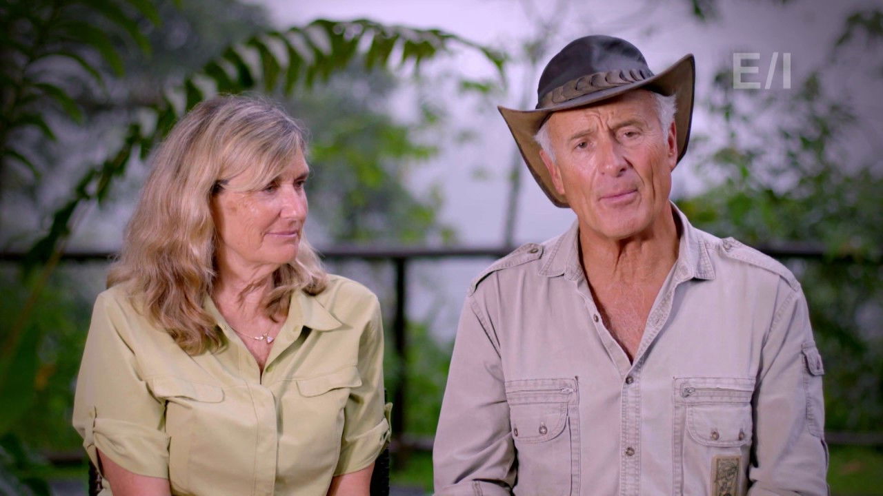 Jack Hanna's Into the Wild backdrop