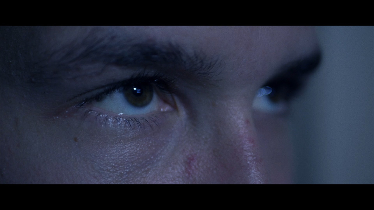 CALCO (A Symphony of Echo) backdrop