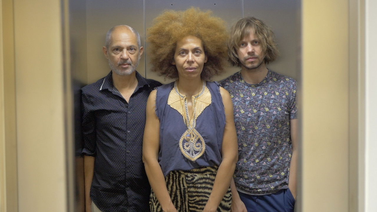 The Trees Were Spelling Love Backwards backdrop