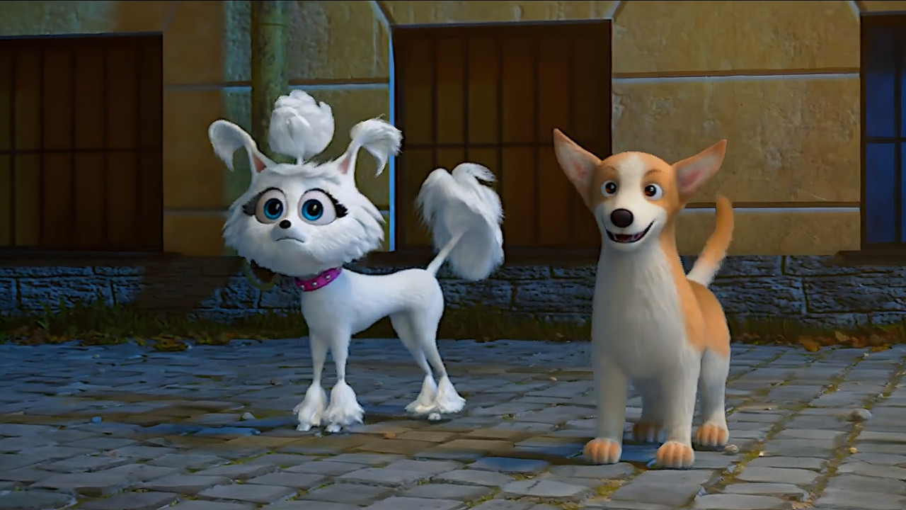 Dogs at the Opera backdrop