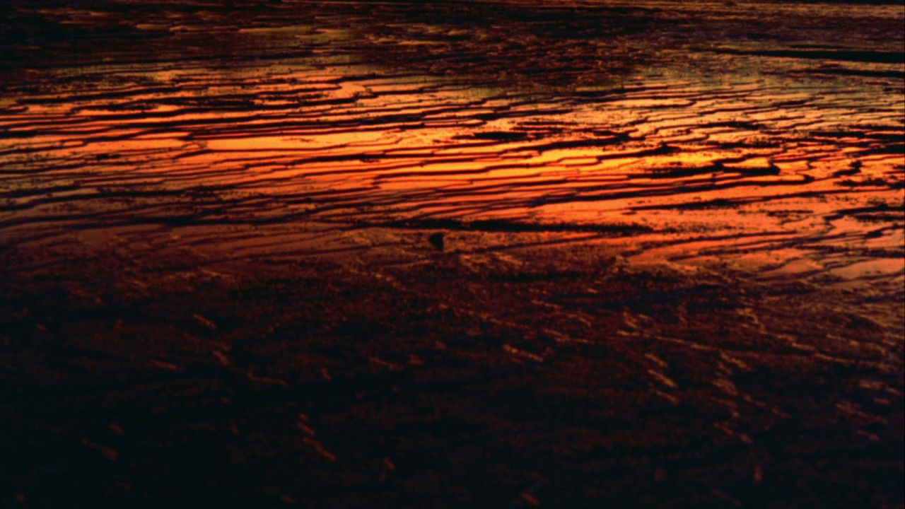 Fascinating Nature backdrop